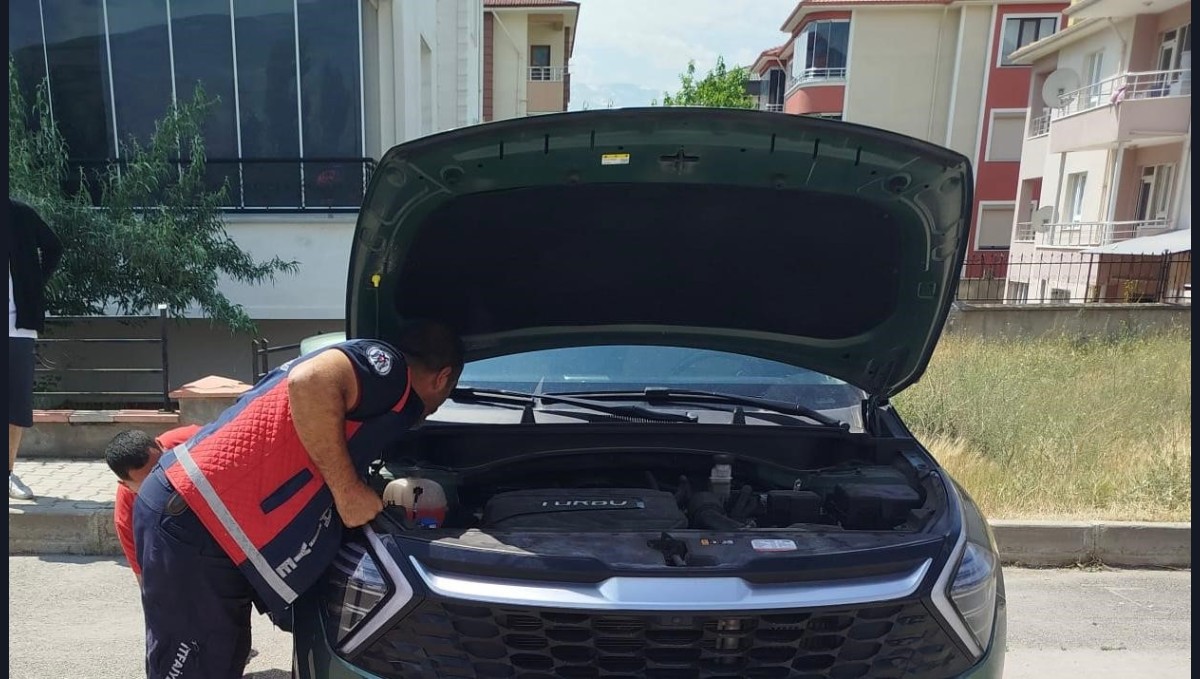 Otomobilin kaput kısmına sıkışan yavru kediler kurtarıldı