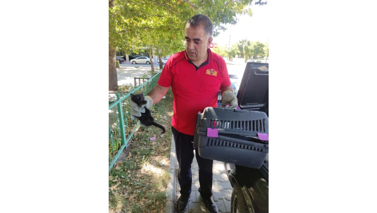 Otomobilin kaputuna sıkışan kedi kurtarıldı