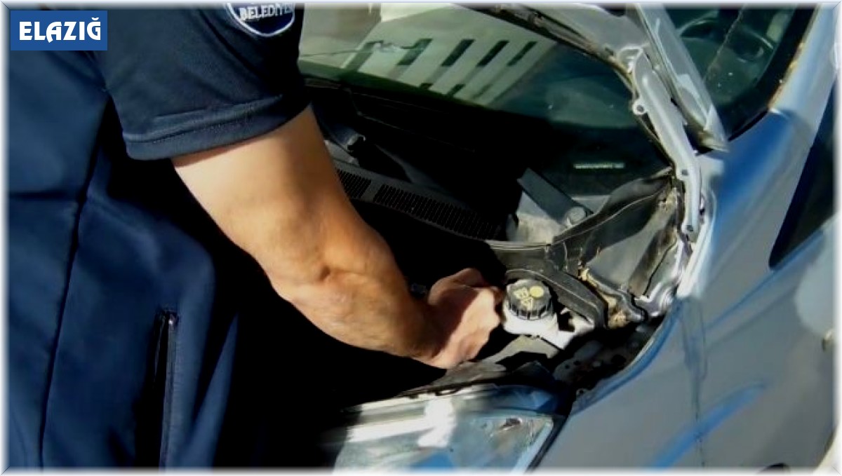 Otomobilin motor kısmına giren kedi kurtarıldı