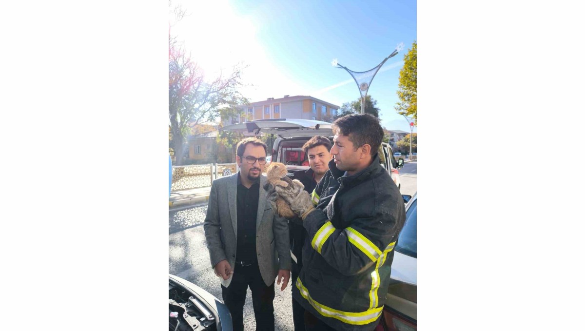Otomobilin motor kısmına sıkışan yavru kedi itfaiye ekiplerince kurtarıldı