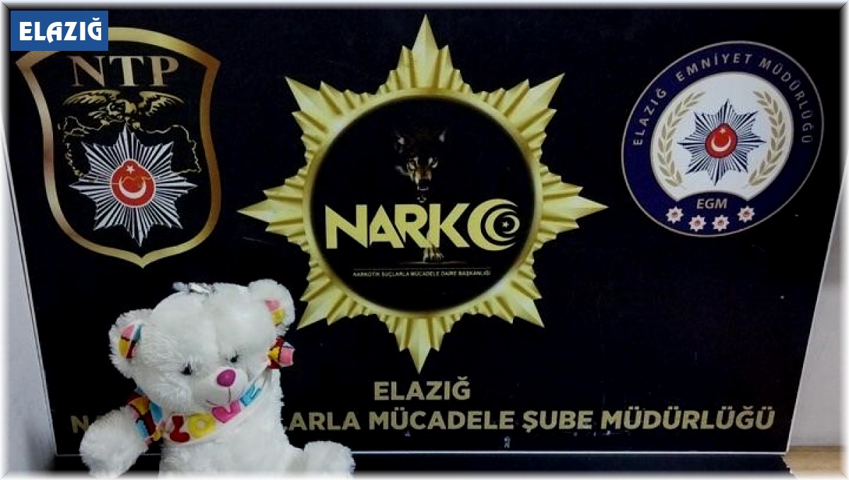 Oyuncak ayı ve yakıt deposuna zulalanmış uyuşturucular ele geçirildi: 5 gözaltı