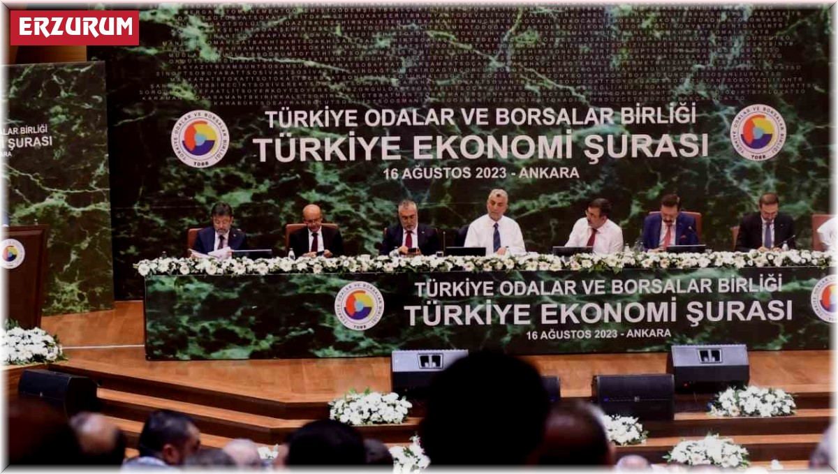 Özakalın, Türkiye Ekonomi Şurası'nda Erzurum'un sorunlarını anlattı
