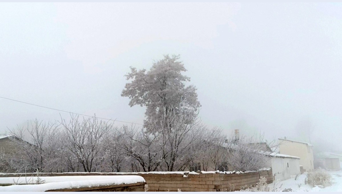 Özalp dondu, ağaçlar kırağı tuttu