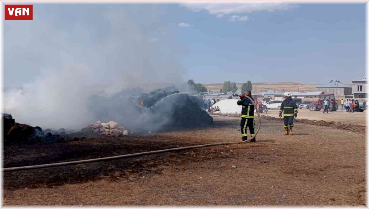 Özalp ilçesinde 3 bin bağ ot yandı