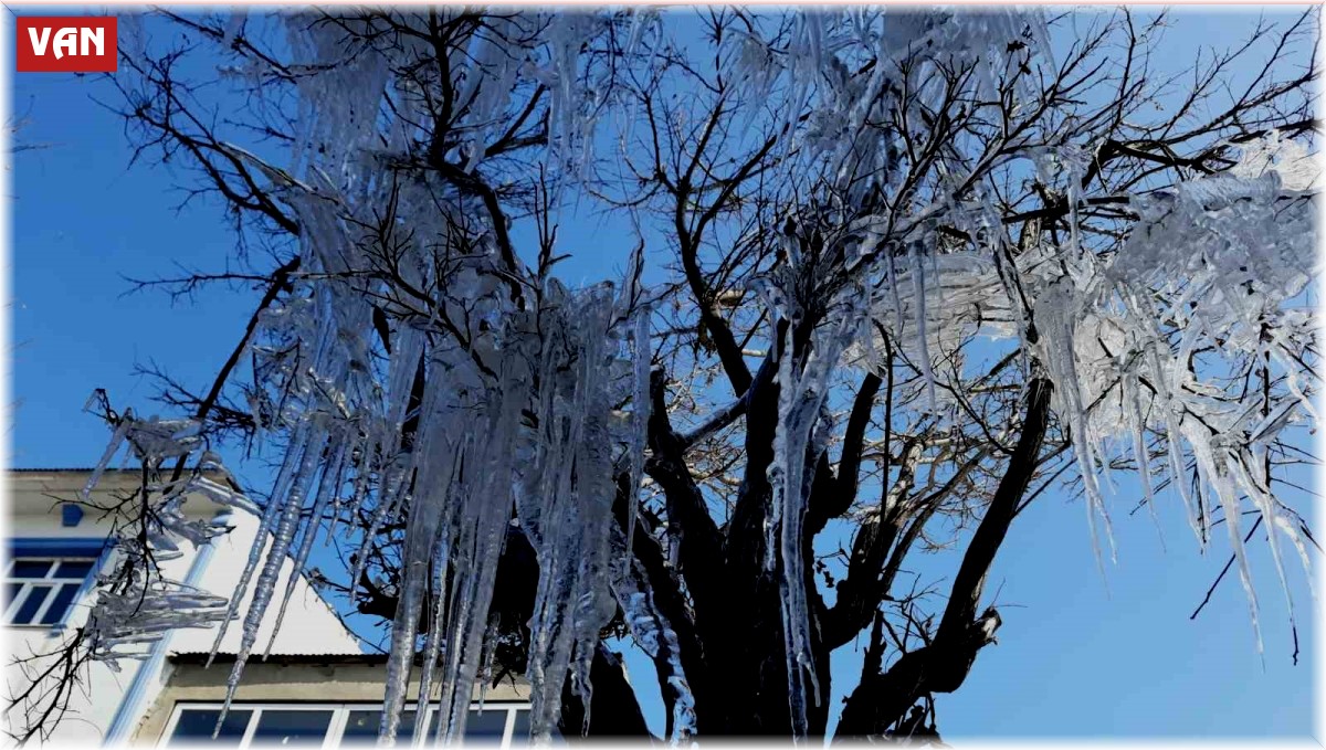 Özalp ilçesinde ağaçlar buz tuttu