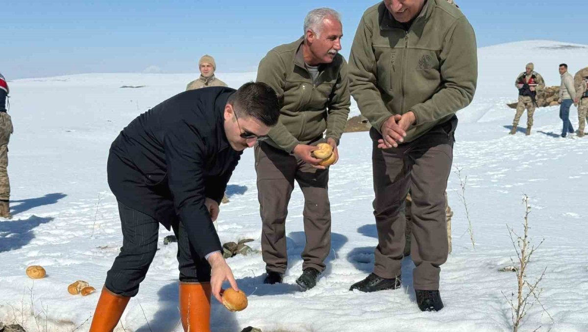 Özalp ilçesinde doğaya yem bırakıldı