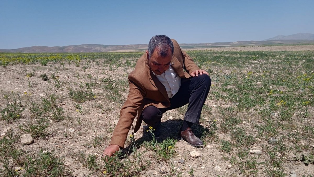 Özalp ilçesinde kuraklık endişesi