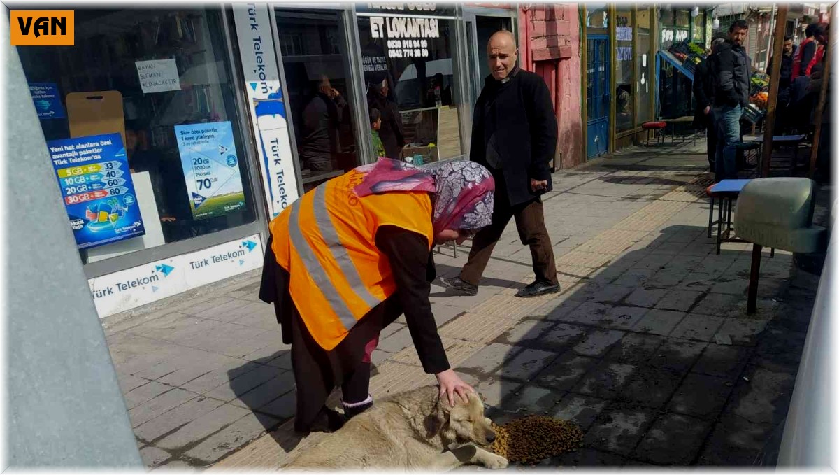 Özalp ilçesinde sokak hayvanları için beslenme etkinliği