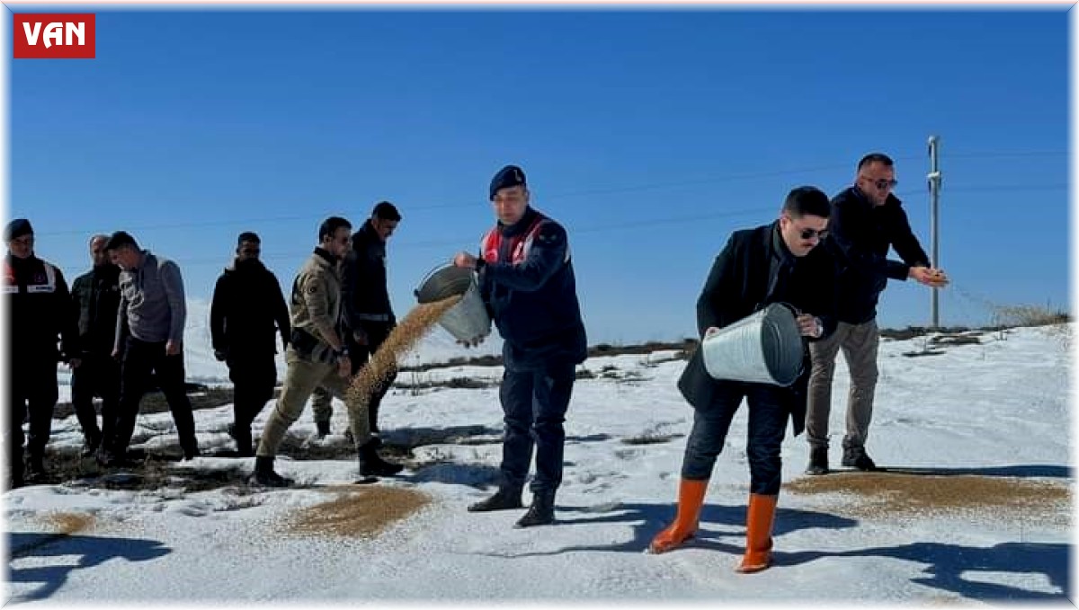 Özalp ilçesinde sokak ve yaban hayvanları için yem bırakıldı