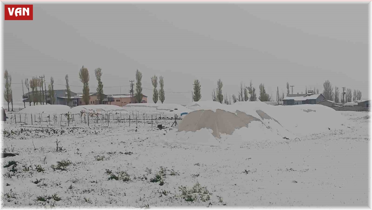 Özalp mayıs ayında kışı yaşadı