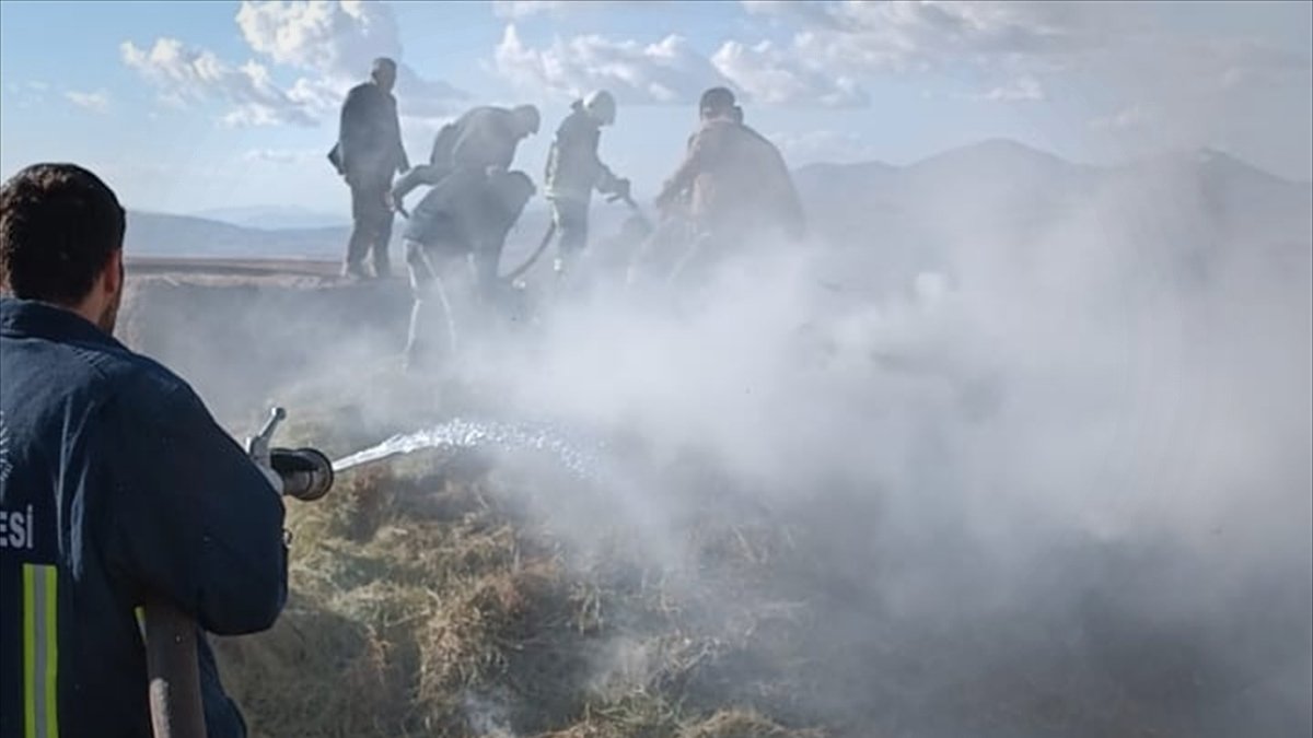 Özalp'ta hayvanlar için biriktirilen ot yığını yandı