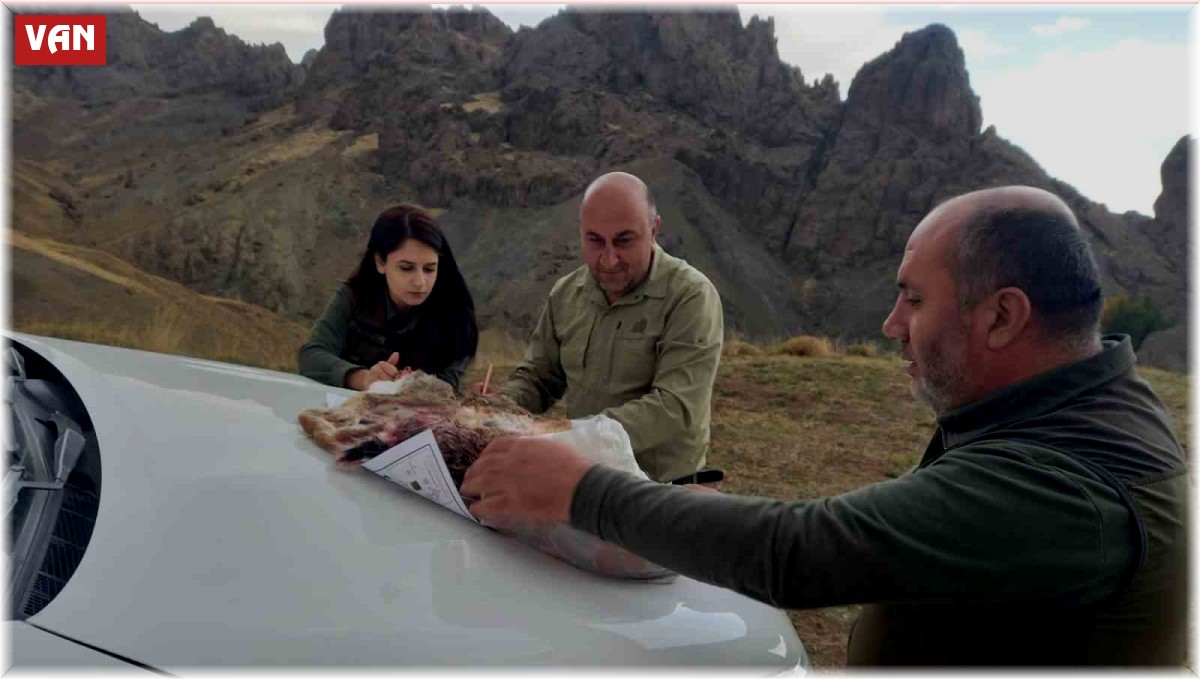 Özalp'ta kaçak avlanan 3 kişi hakkında işlem yapıldı