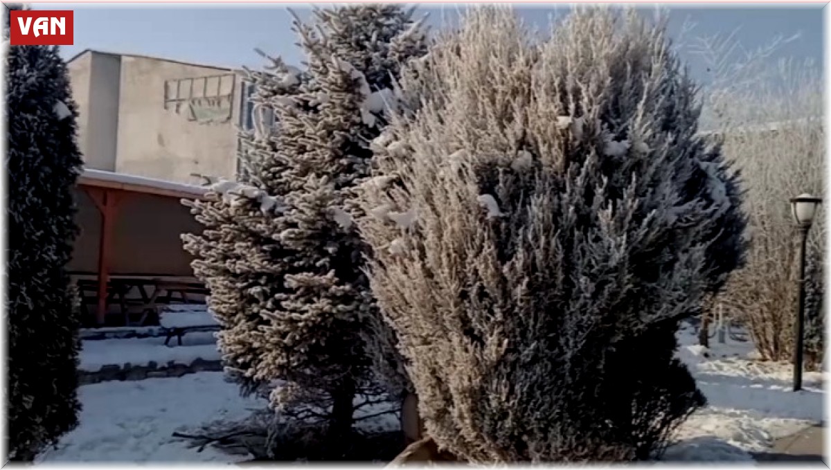 Özalp'ta termometreler eksi 15 dereciyi gördü