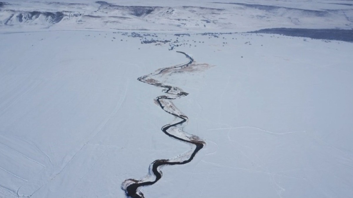 Özalp'te donan ağaçlar ve mendereste görsel şölen