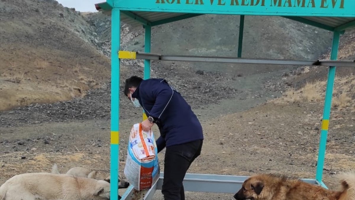 Özalp'te sokak hayvanlarına mama desteği