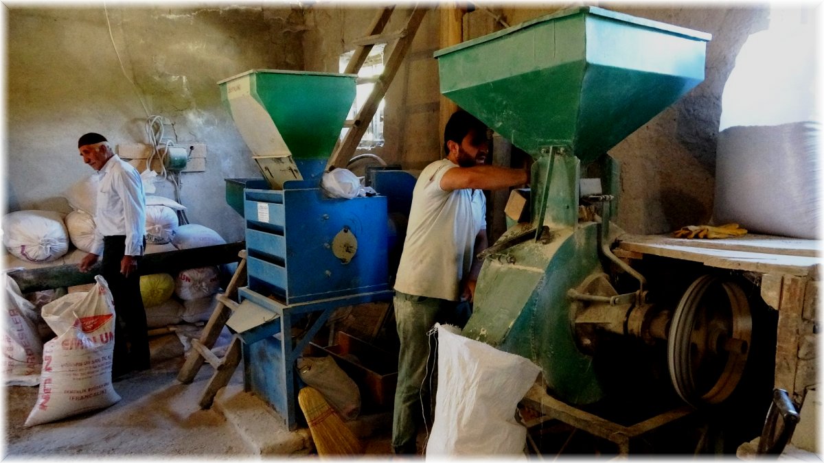 (Özel haber) Van’da üniversite mezunu genç atadan kalma değirmeni işletiyor