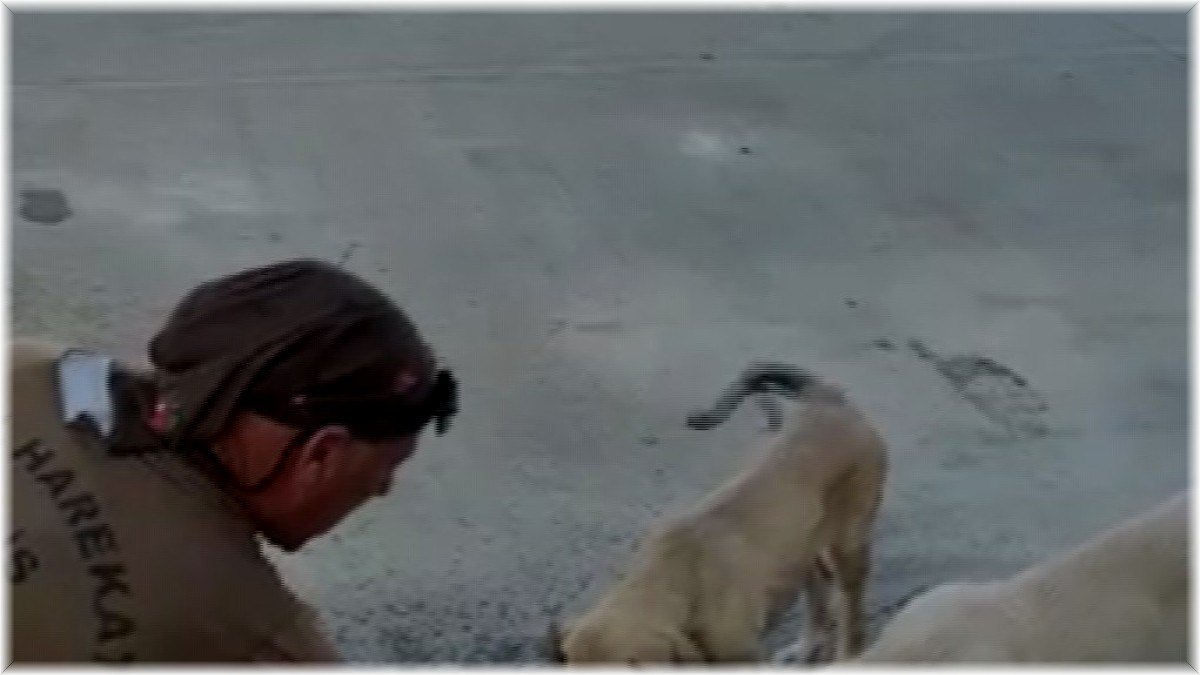 Özel harekat polisi yaptığı hareketle yürekleri ısıttı