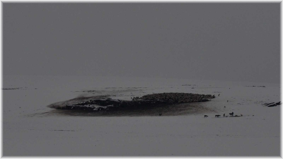 (Özel) Kars'ta kar ile hava sıcaklığı eksi 5 dereceye düştü