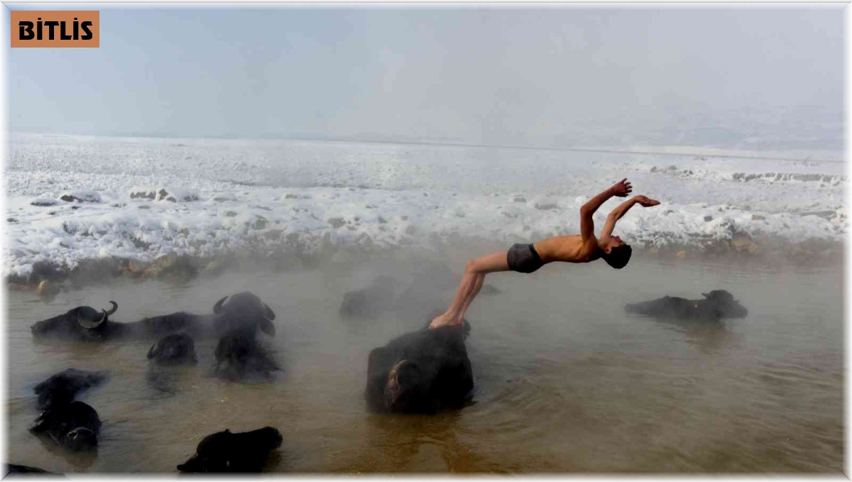 (Özel) Mandaların eksi 20 derecede kaplıca keyfi