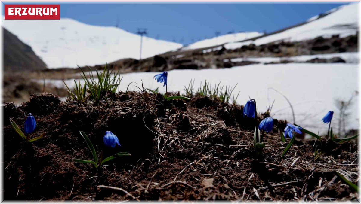Palandöken'de mayıs ayında kar topu keyfi