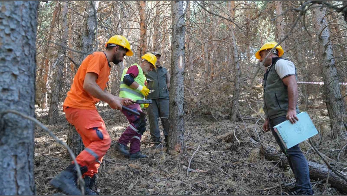 Palandöken'de yangına karşı seferberlik