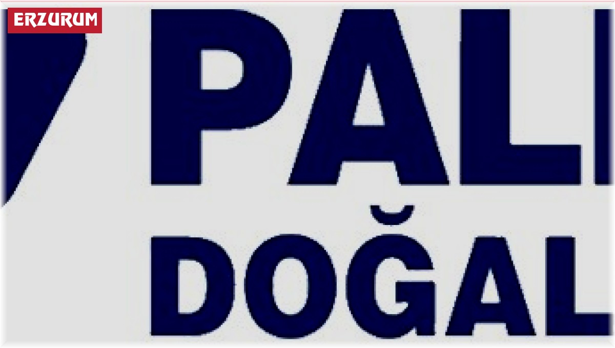 Palen Doğalgaz'dan akıl dışı uygulama