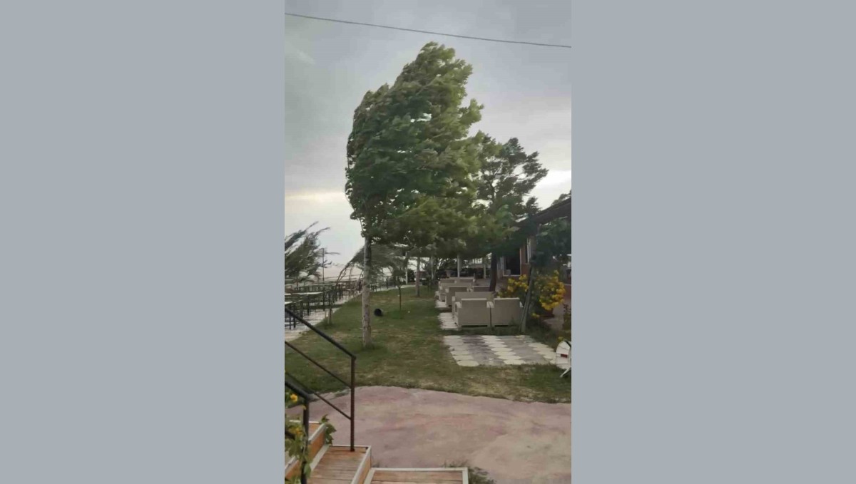 Palu'da fırtına etkili oldu