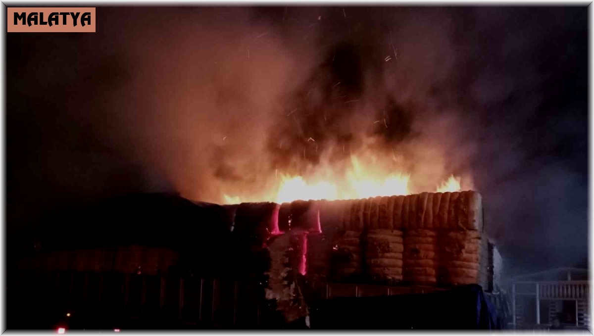 Pamuk yüklü tırın dorsesi alev alev yandı