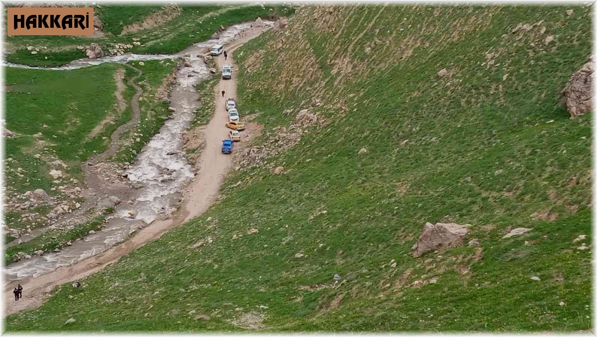 Pancar toplarken düşen kadın hayatını kaybetti