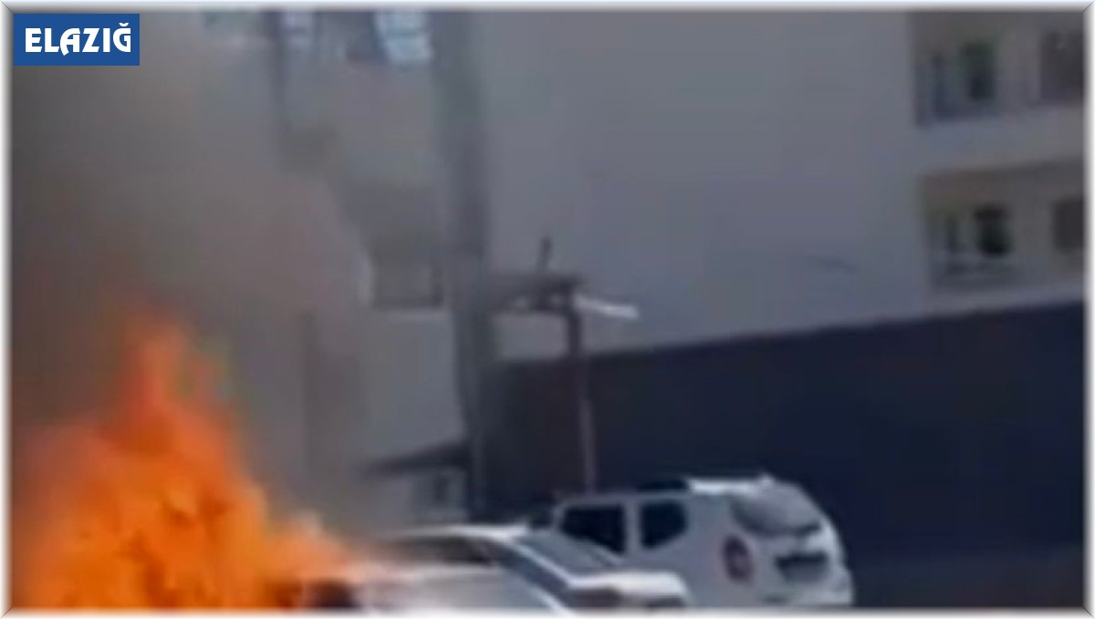 Park halindeki araç alev topuna döndü