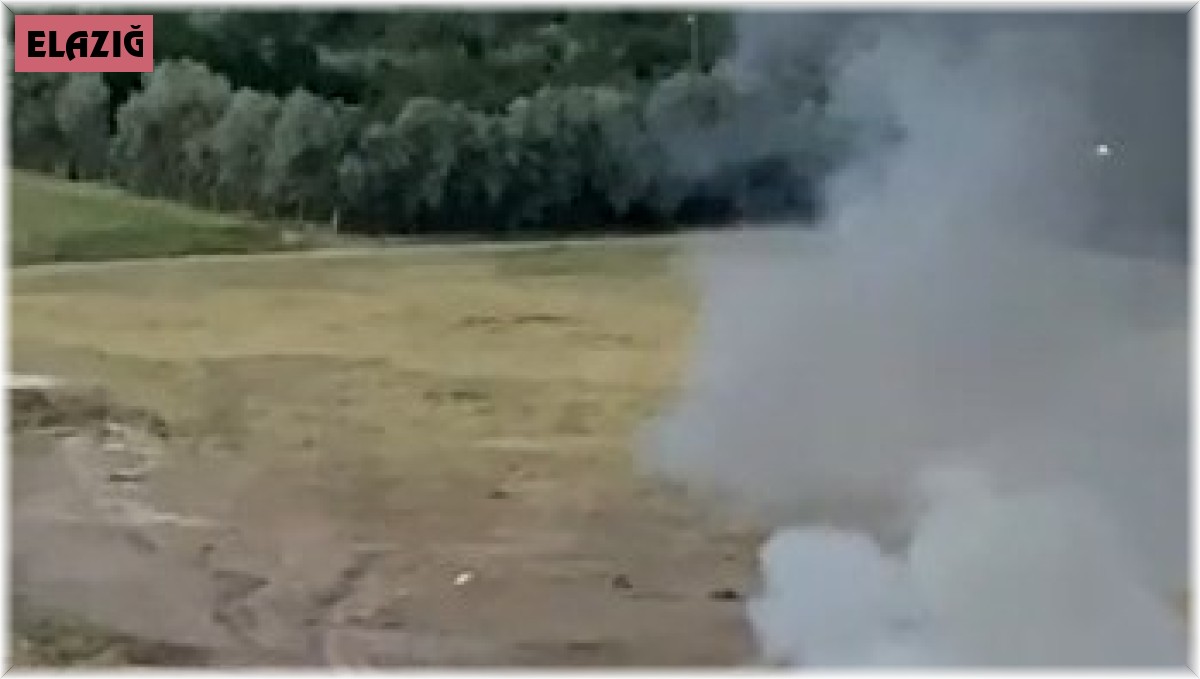 Park halindeki minibüs alev topuna döndü