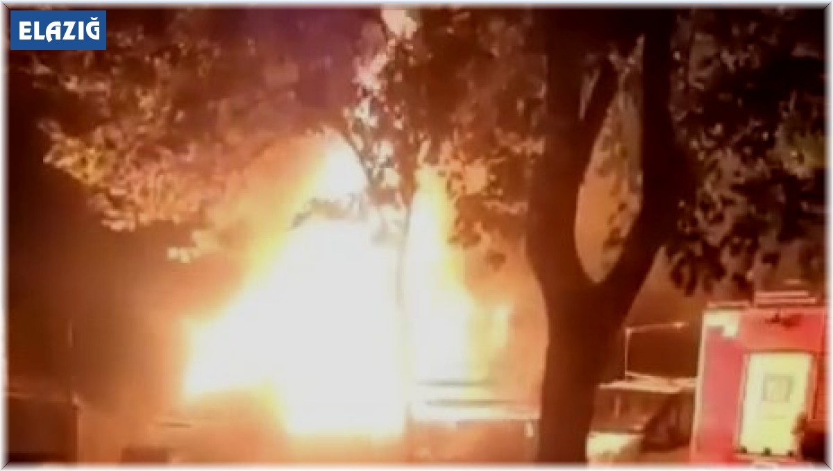 Park halindeki pikap alev alev yandı