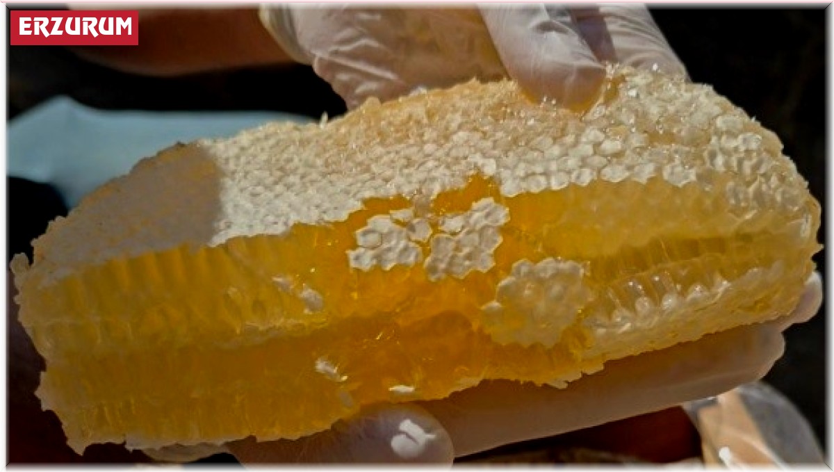 Pasinler Balı için coğrafi işaret başvurusu