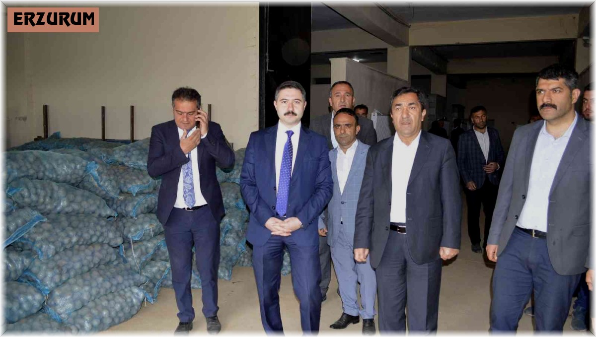 Pasinler'de 75 ton patates tohumu dağıtıldı