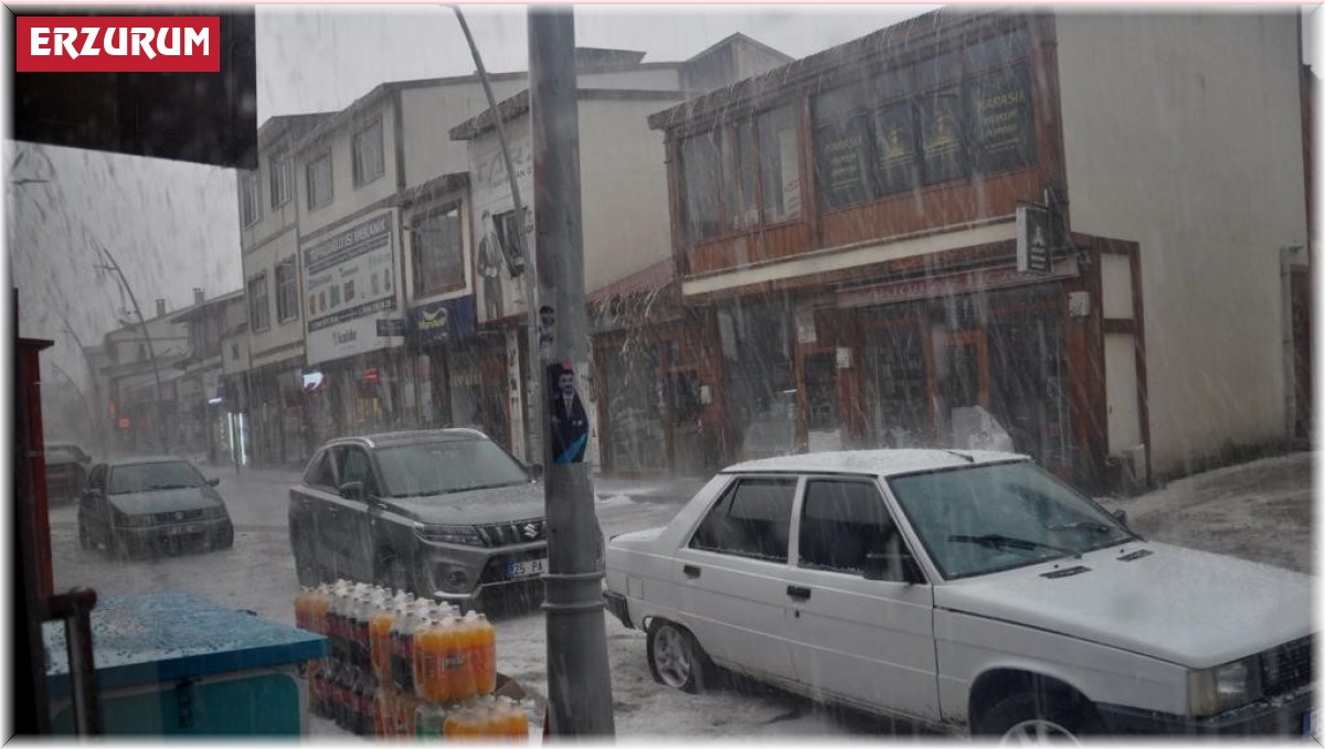 Pasinler'de dolu hayatı felç etti