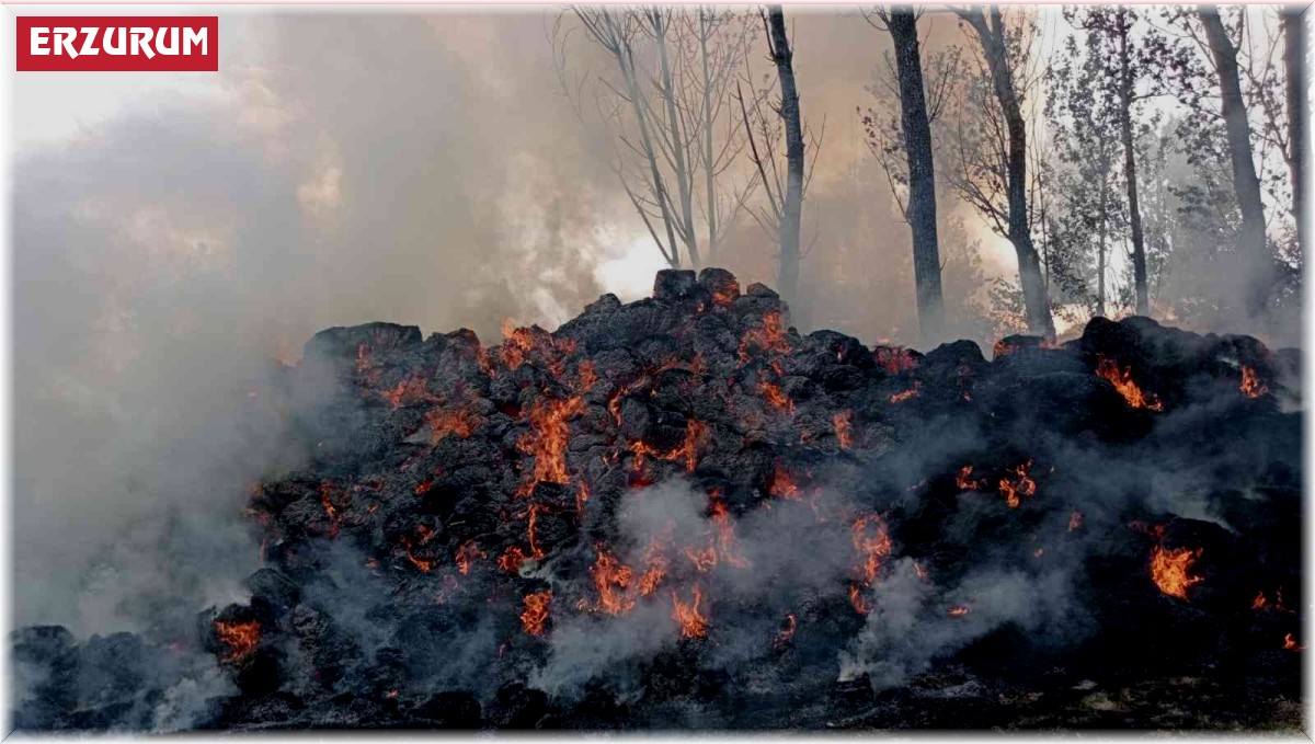 Pasinler'de ot yangını