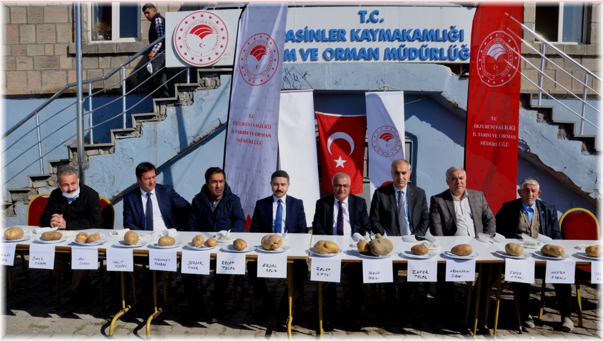 Pasinler'de patates yarışması düzenlendi