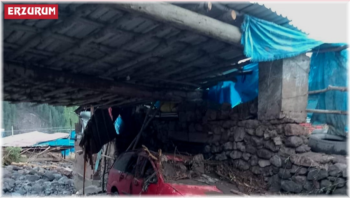 Pasinlerde sel yıktı geçti