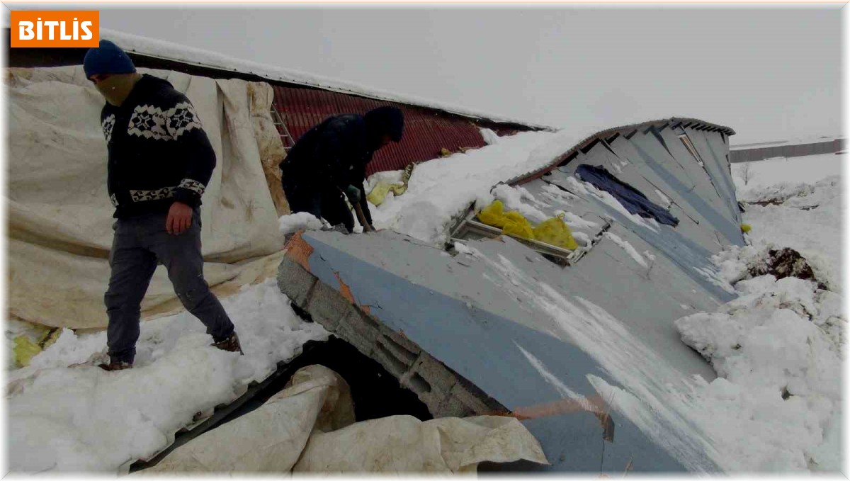 Patates deposu deprem sonrası çöktü