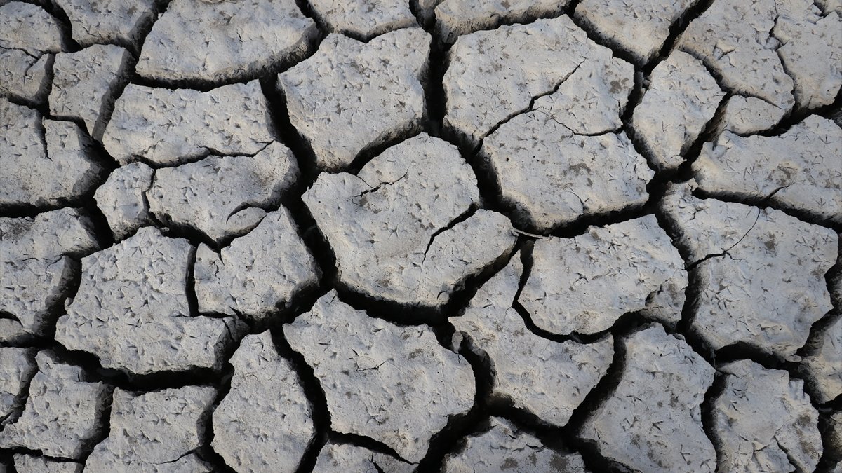Patnos Barajı’nda kuraklık alarmı: tarımın ve kuşların hayat kaynağı hızla çekiliyor