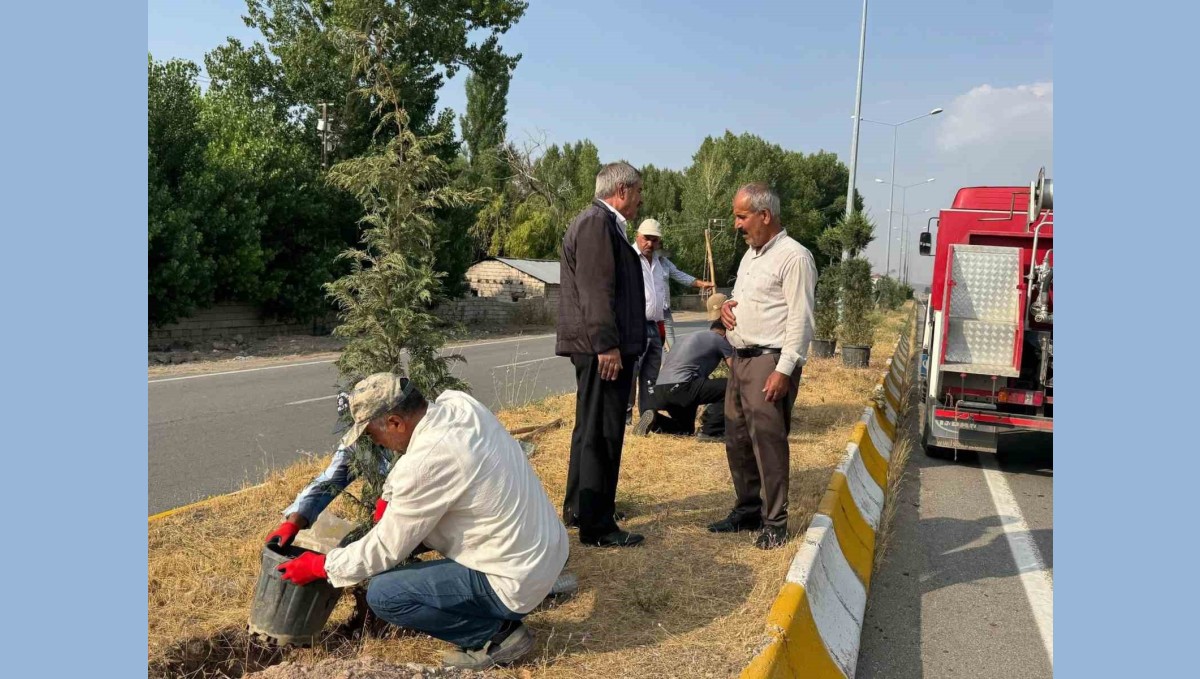 Patnos Malazgirt Caddesi'nde Orta Refüjler Ağaçlandırılıyor