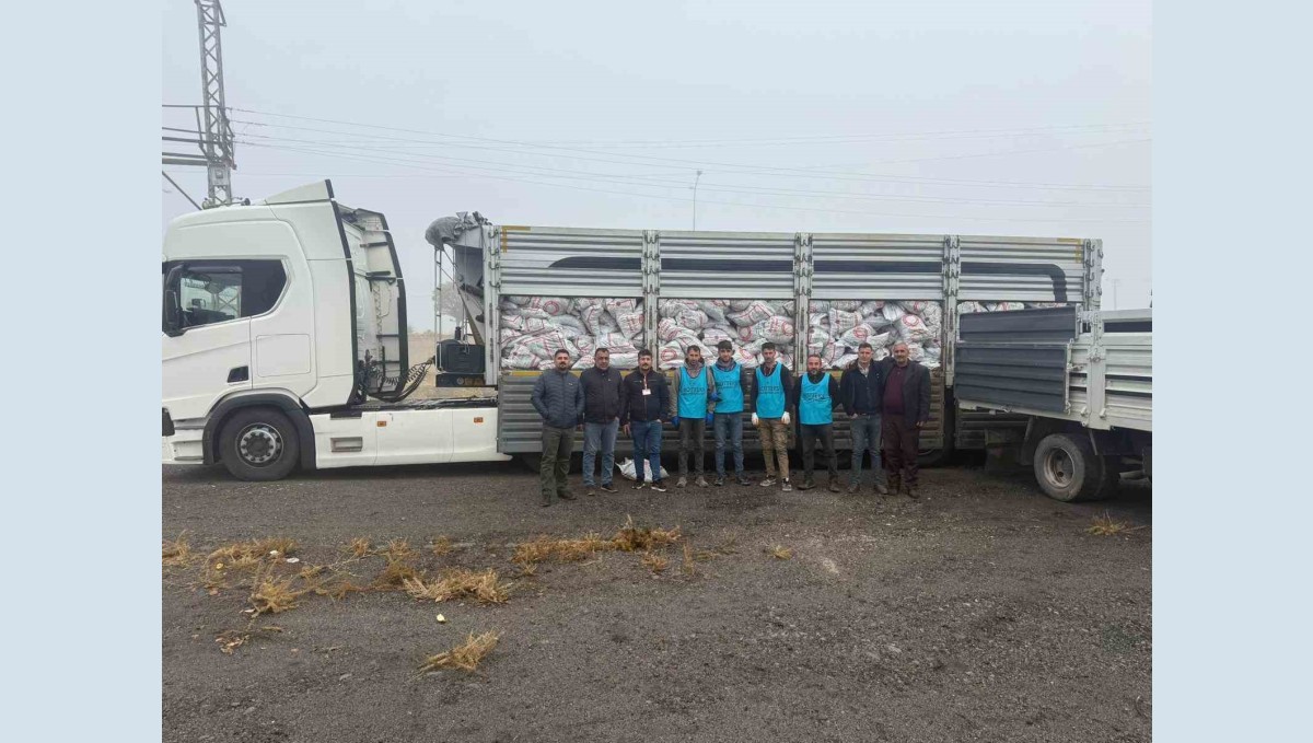 Patnos'ta 10 Bin Haneye 14 Bin 500 Ton Kömür Yardımı