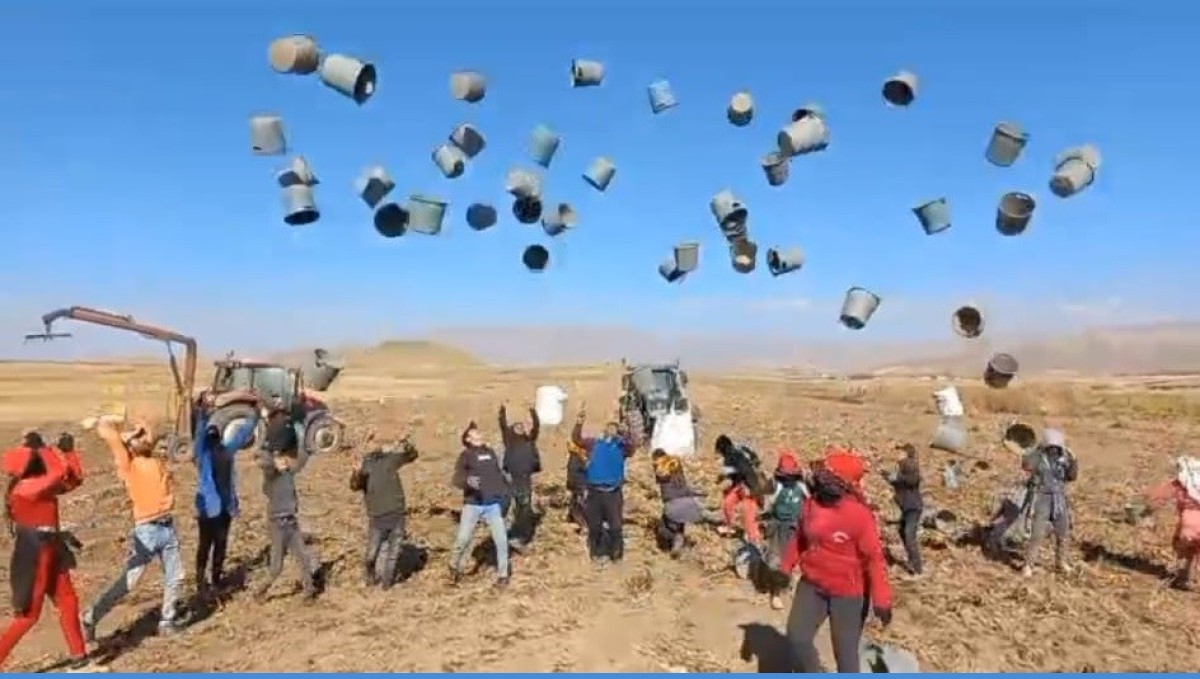 Patnos'ta 500 Dönüm Araziden Bin 650 Ton Patates Hasat Edildi