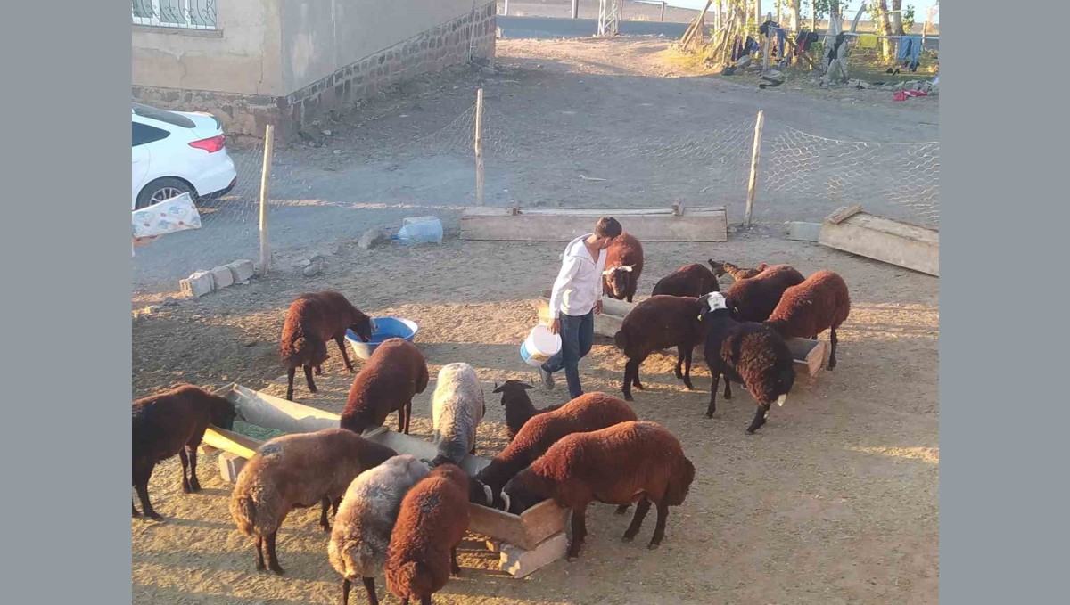 Patnos'ta besiciler kış hazırlığını sürdürüyor
