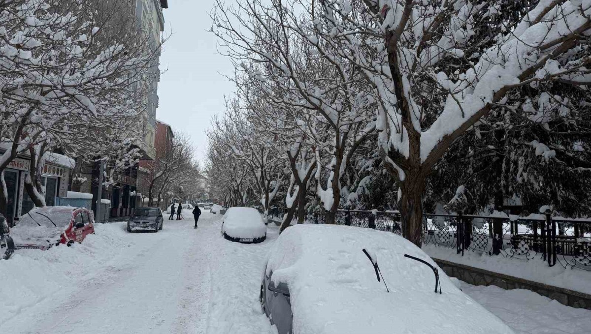 Patnos'ta kar ve dondurucu soğuk hayatı olumsuz etkiliyor
