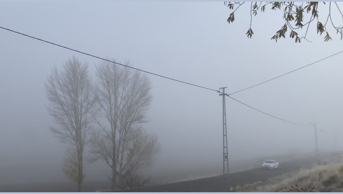 Patnos'ta yoğun sis yaşamı olumsuz etkiledi