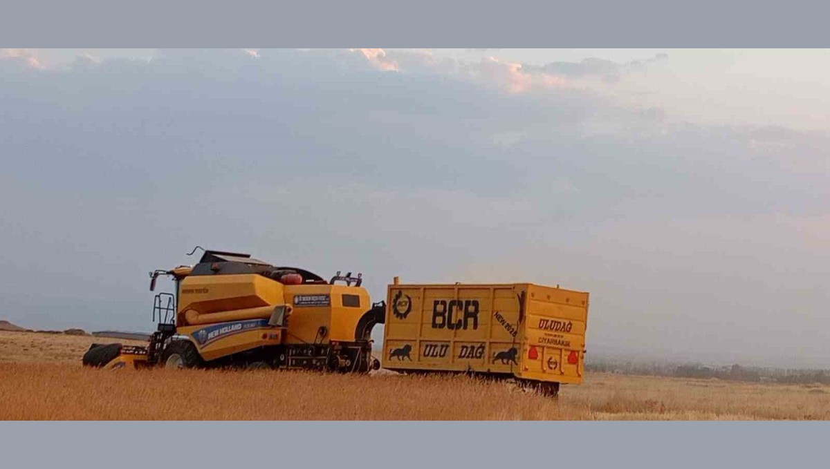 Patnosta buğday hasadı başladı