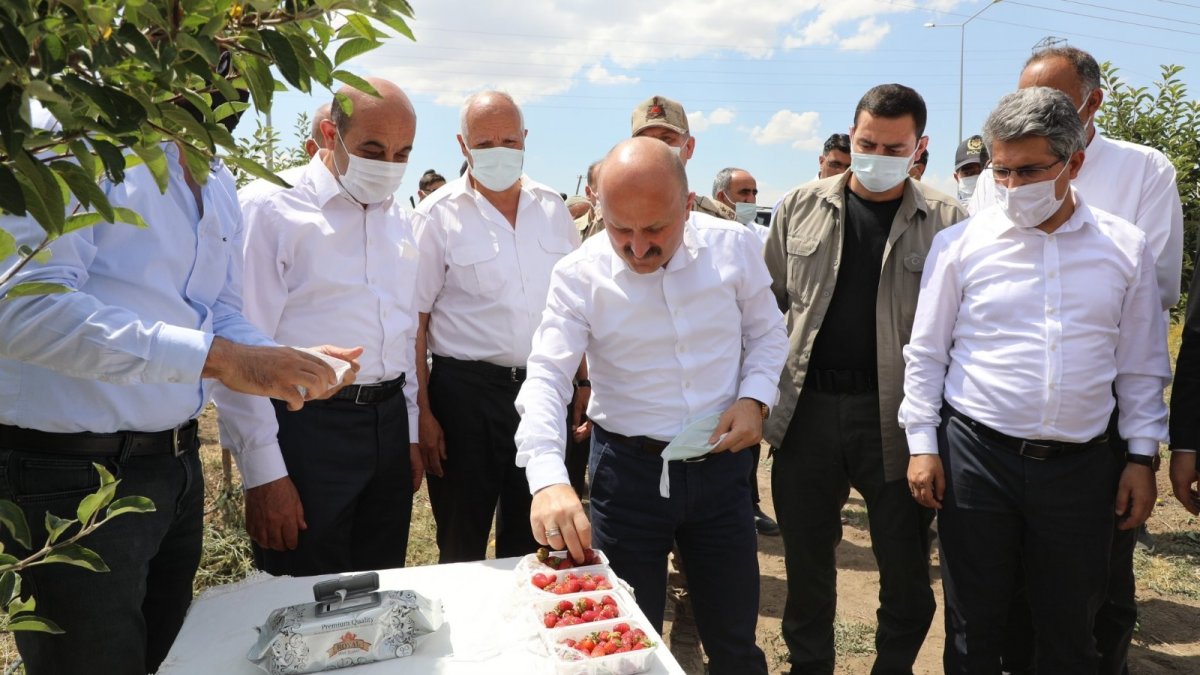 Patnos’ta devlet desteğiyle kurulan meyve bahçeleri umut oldu