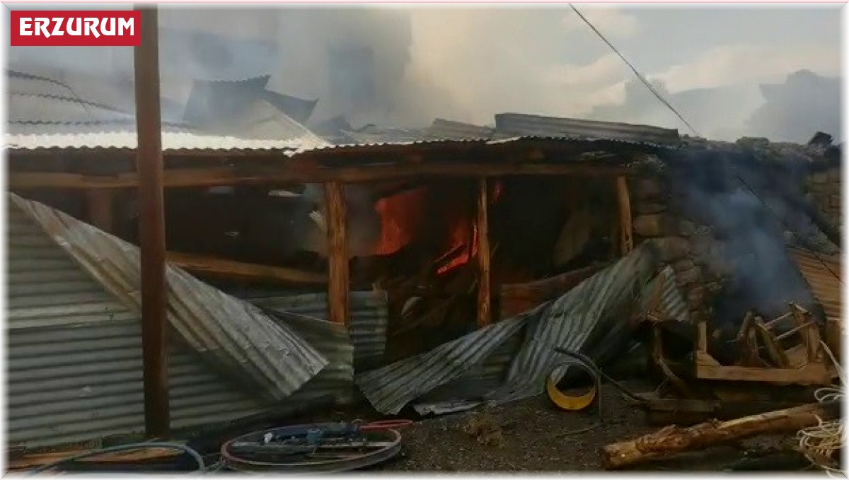 Pazaryolu'nda korkutan yangın