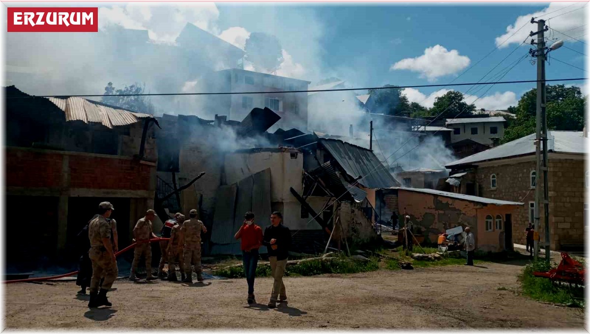 Pazaryolu'nda yangın paniği